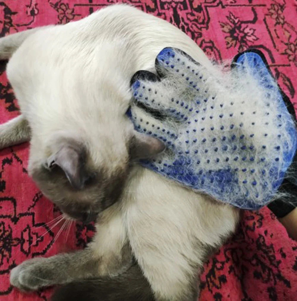 🐶🐱 Haustier-Pflegehandschuh